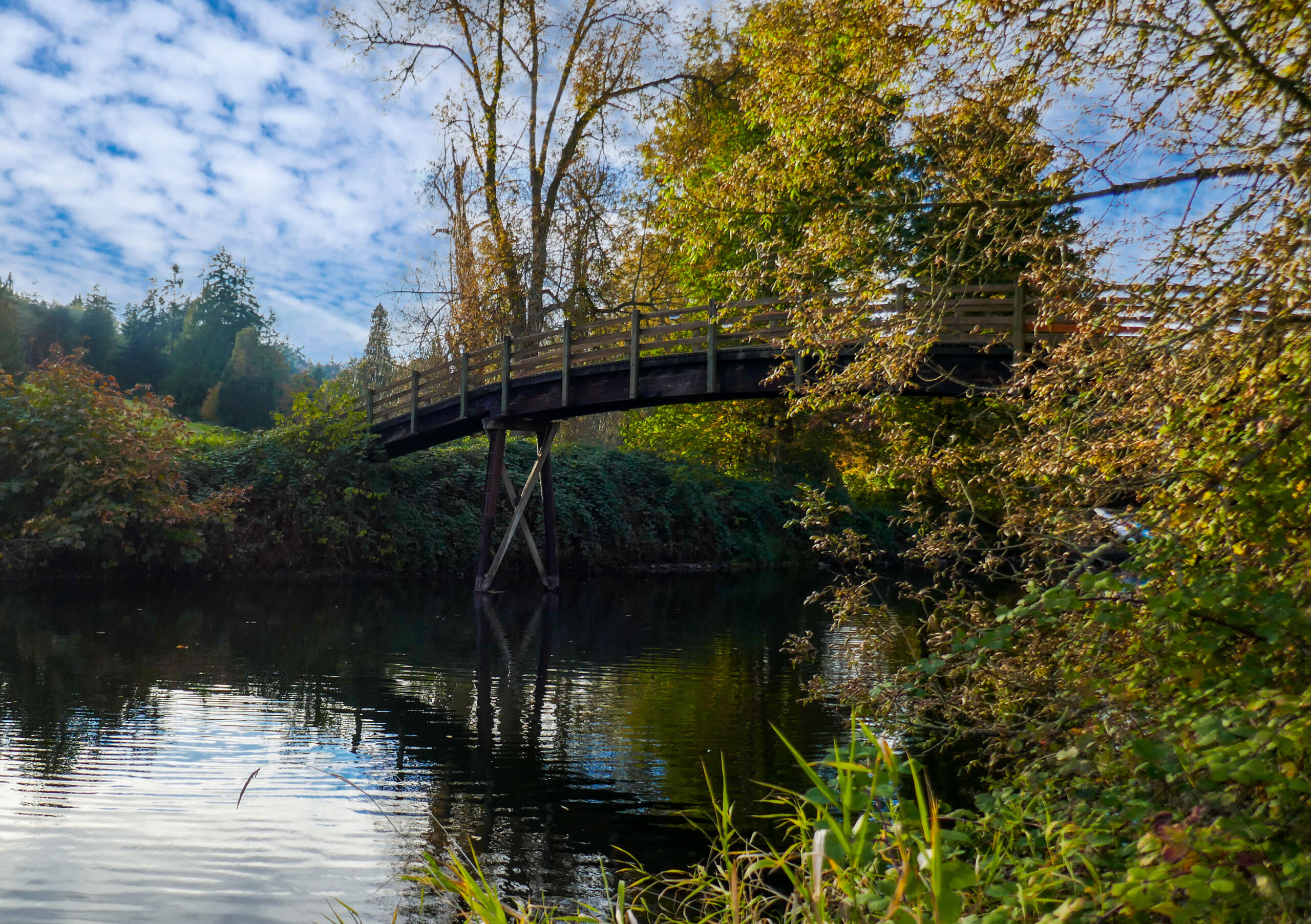 Bothell Park