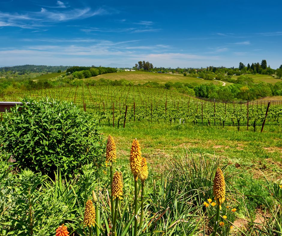 Getaways from Puget Sound: Woodinville Wine Country