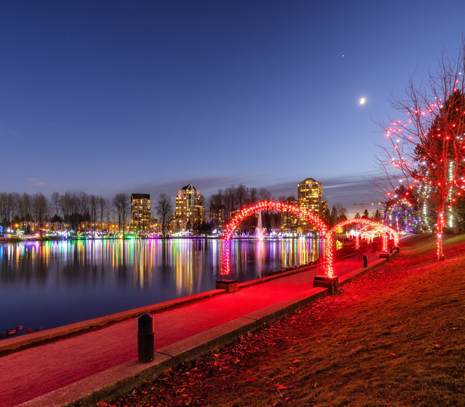 christmas lights in a park